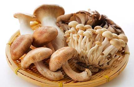 きのこの保存は天日干し? もっと簡単な方法を発見!