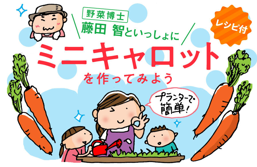 プランターで簡単! 野菜博士・藤田 智といっしょにミニキャロットを作ってみよう